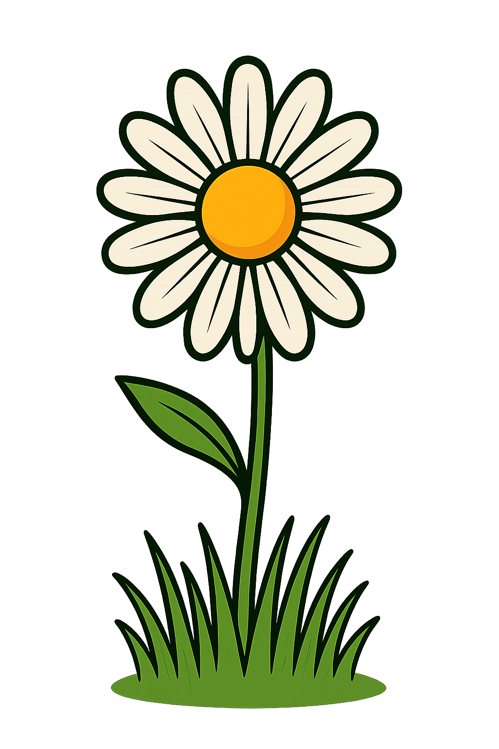 Daisy Flower