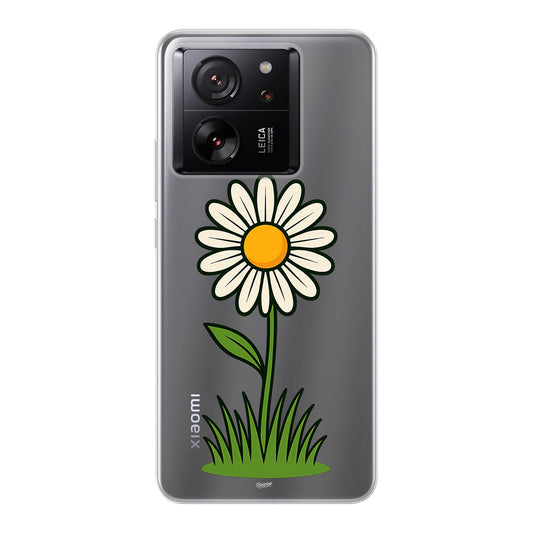 Daisy Flower