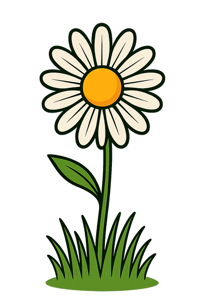Daisy Flower