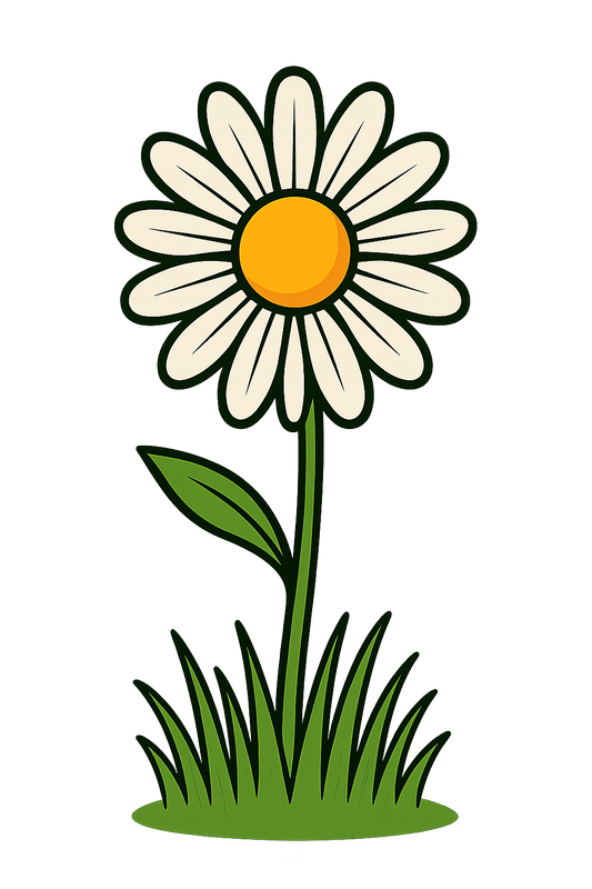 Daisy Flower